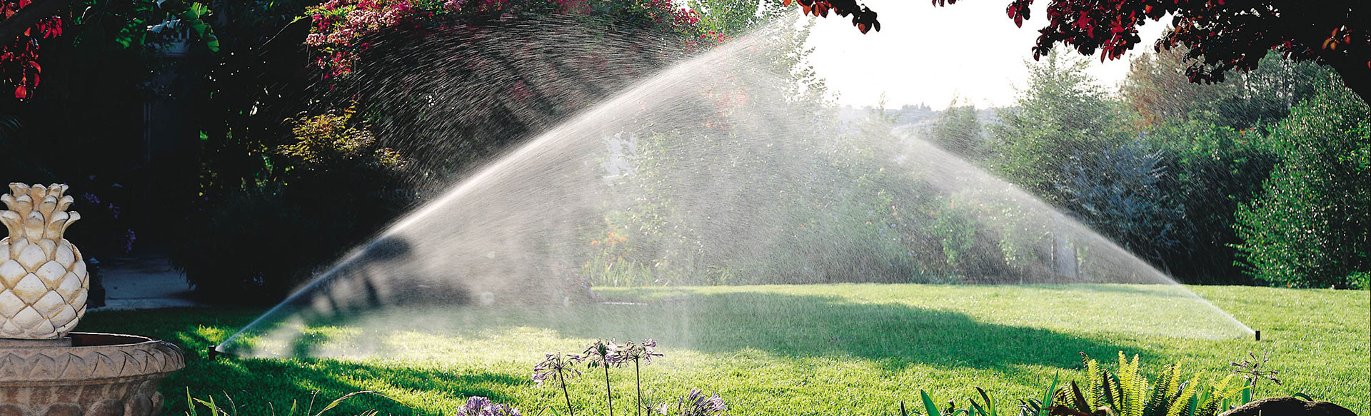 rainbird-banner